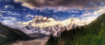 fairy-meadows